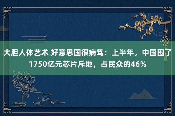 大胆人体艺术 好意思国很病笃：上半年，中国囤了1750亿元芯片斥地，占民众的46%