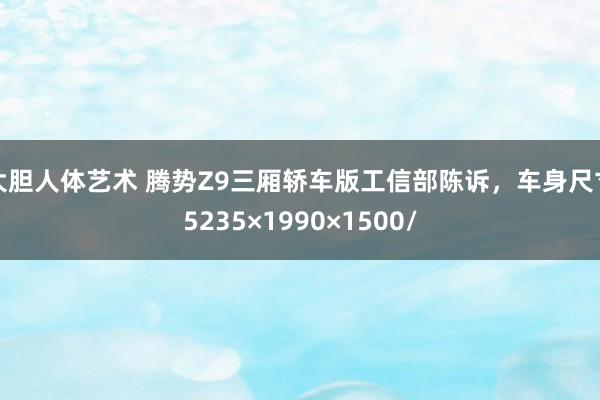 大胆人体艺术 腾势Z9三厢轿车版工信部陈诉，车身尺寸5235×1990×1500/