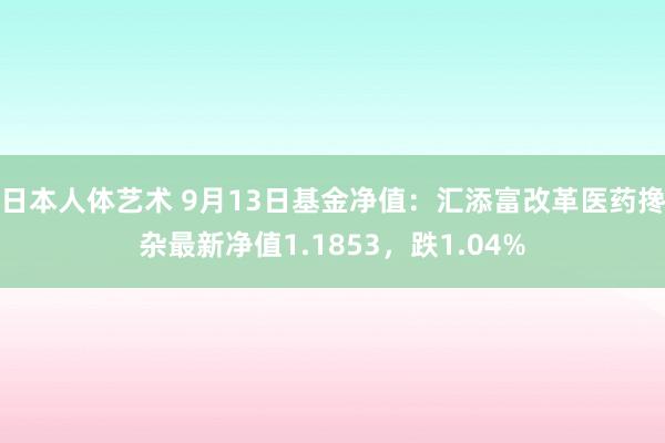 日本人体艺术 9月13日基金净值：汇添富改革医药搀杂最新净值1.1853，跌1.04%