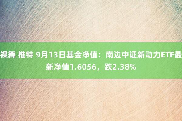 裸舞 推特 9月13日基金净值：南边中证新动力ETF最新净值1.6056，跌2.38%