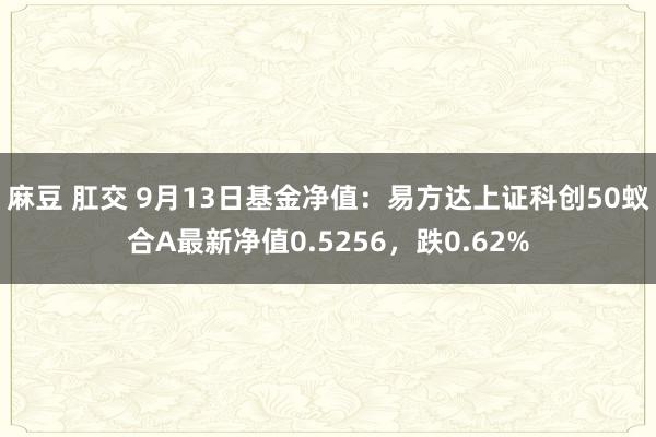 麻豆 肛交 9月13日基金净值：易方达上证科创50蚁合A最新净值0.5256，跌0.62%