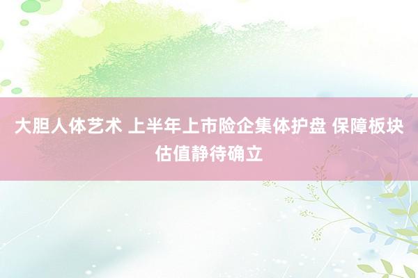 大胆人体艺术 上半年上市险企集体护盘 保障板块估值静待确立