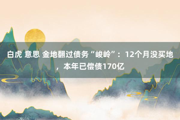 白虎 意思 金地翻过债务“峻岭”：12个月没买地，本年已偿债170亿