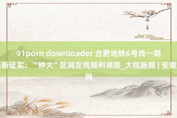 91porn downloader 合肥地铁6号线一期最新证实：“钟大”区间左线顺利领路_大皖新闻 | 安徽网