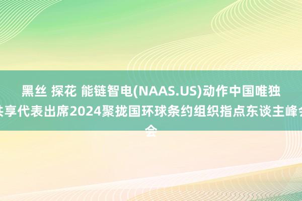 黑丝 探花 能链智电(NAAS.US)动作中国唯独共享代表出席2024聚拢国环球条约组织指点东谈主峰会