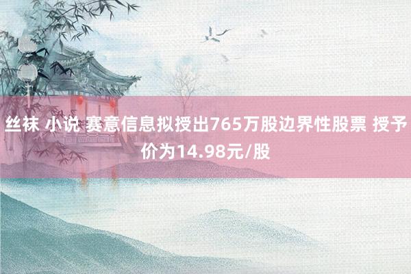 丝袜 小说 赛意信息拟授出765万股边界性股票 授予价为14.98元/股