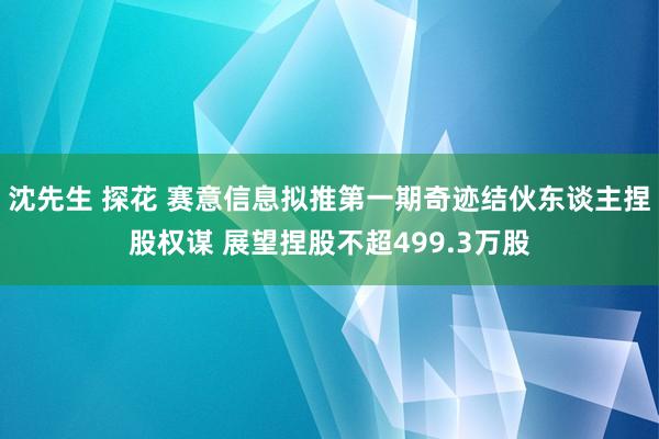 沈先生 探花 赛意信息拟推第一期奇迹结伙东谈主捏股权谋 展望捏股不超499.3万股