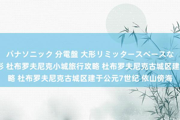 パナソニック 分電盤 大形リミッタースペースなし 露出・半埋込両用形 杜布罗夫尼克小城旅行攻略 杜布罗夫尼克古城区建于公元7世纪 依山傍海