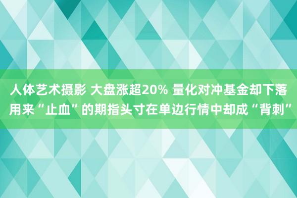 人体艺术摄影 大盘涨超20% 量化对冲基金却下落 用来“止血”的期指头寸在单边行情中却成“背刺”