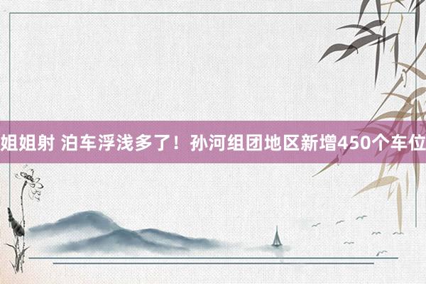 姐姐射 泊车浮浅多了！孙河组团地区新增450个车位