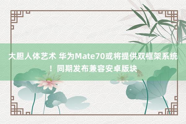 大胆人体艺术 华为Mate70或将提供双框架系统！同期发布兼容安卓版块