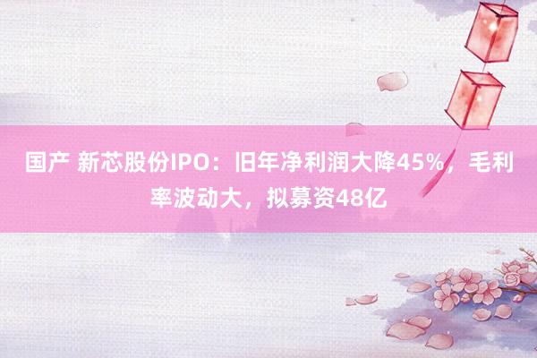 国产 新芯股份IPO：旧年净利润大降45%，毛利率波动大，拟募资48亿