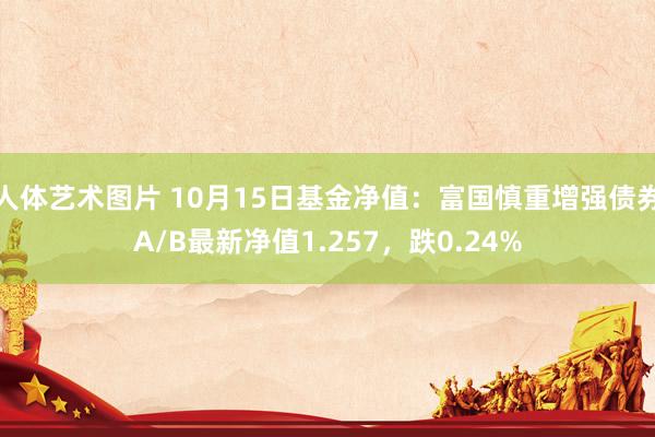 人体艺术图片 10月15日基金净值：富国慎重增强债券A/B最新净值1.257，跌0.24%