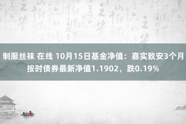 制服丝袜 在线 10月15日基金净值：嘉实致安3个月按时债券最新净值1.1902，跌0.19%