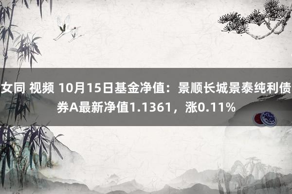 女同 视频 10月15日基金净值：景顺长城景泰纯利债券A最新净值1.1361，涨0.11%