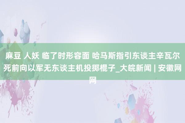 麻豆 人妖 临了时形容面 哈马斯指引东谈主辛瓦尔死前向以军无东谈主机投掷棍子_大皖新闻 | 安徽网