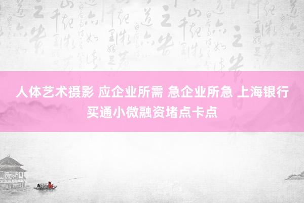 人体艺术摄影 应企业所需 急企业所急 上海银行买通小微融资堵点卡点