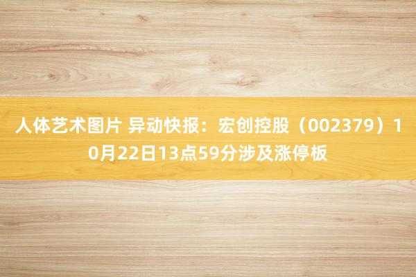 人体艺术图片 异动快报：宏创控股（002379）10月22日13点59分涉及涨停板