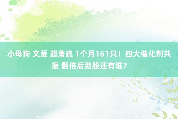 小母狗 文爱 超萧疏 1个月161只！四大催化剂共振 翻倍后劲股还有谁？