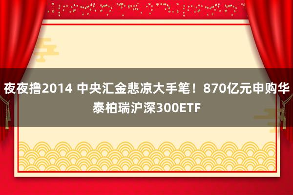 夜夜撸2014 中央汇金悲凉大手笔！870亿元申购华泰柏瑞沪深300ETF