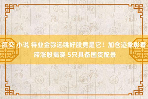 肛交 小说 待业金弥远眺好股竟是它！加仓迹象彰着 滞涨股揭晓 5只具备国资配景