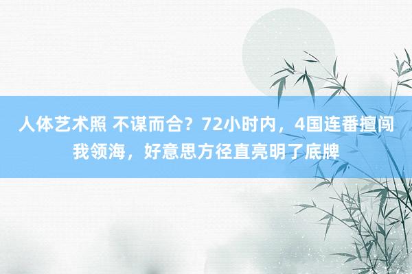 人体艺术照 不谋而合？72小时内，4国连番擅闯我领海，好意思方径直亮明了底牌