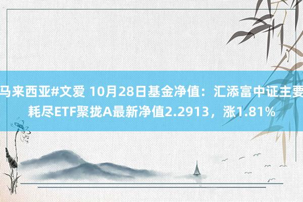 马来西亚#文爱 10月28日基金净值：汇添富中证主要耗尽ETF聚拢A最新净值2.2913，涨1.81%