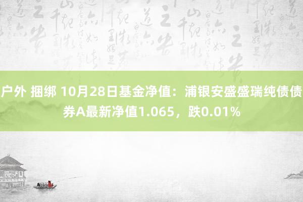 户外 捆绑 10月28日基金净值：浦银安盛盛瑞纯债债券A最新净值1.065，跌0.01%