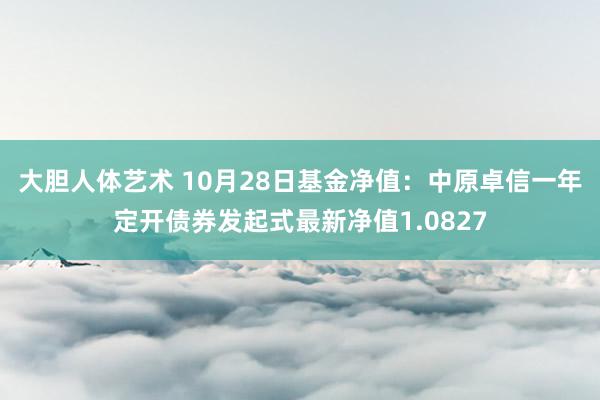 大胆人体艺术 10月28日基金净值：中原卓信一年定开债券发起式最新净值1.0827