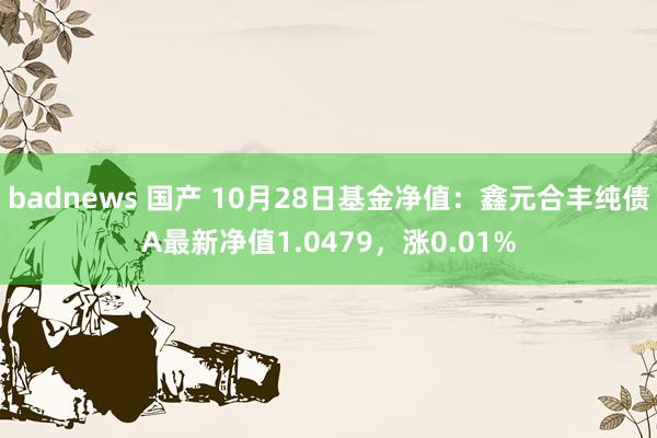 badnews 国产 10月28日基金净值：鑫元合丰纯债A最新净值1.0479，涨0.01%