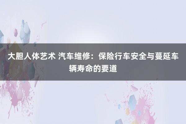 大胆人体艺术 汽车维修：保险行车安全与蔓延车辆寿命的要道