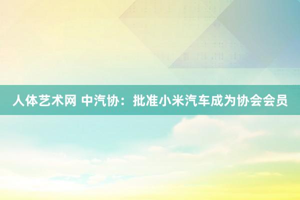 人体艺术网 中汽协：批准小米汽车成为协会会员