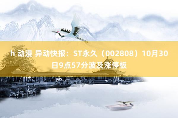 h 动漫 异动快报：ST永久（002808）10月30日9点57分波及涨停板