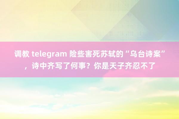 调教 telegram 险些害死苏轼的“乌台诗案”，诗中齐写了何事？你是天子齐忍不了