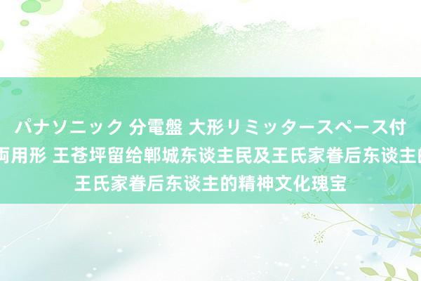 パナソニック 分電盤 大形リミッタースペース付 露出・半埋込両用形 王苍坪留给郸城东谈主民及王氏家眷后东谈主的精神文化瑰宝