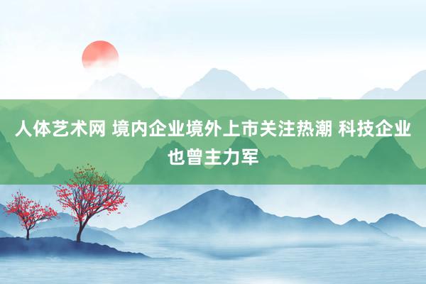 人体艺术网 境内企业境外上市关注热潮 科技企业也曾主力军