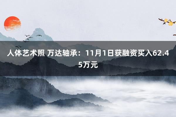 人体艺术照 万达轴承：11月1日获融资买入62.45万元