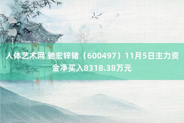 人体艺术网 驰宏锌锗（600497）11月5日主力资金净买入8318.38万元