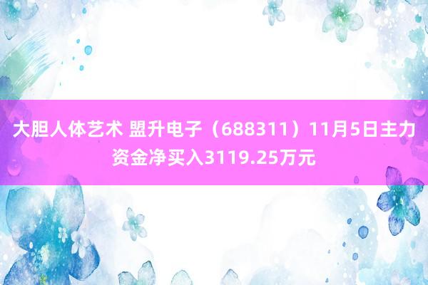 大胆人体艺术 盟升电子（688311）11月5日主力资金净买入3119.25万元