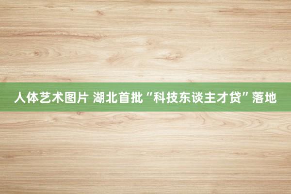 人体艺术图片 湖北首批“科技东谈主才贷”落地