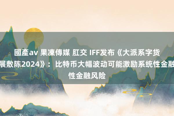 國產av 果凍傳媒 肛交 IFF发布《大派系字货币发展敷陈2024》：比特币大幅波动可能激励系统性金融风险