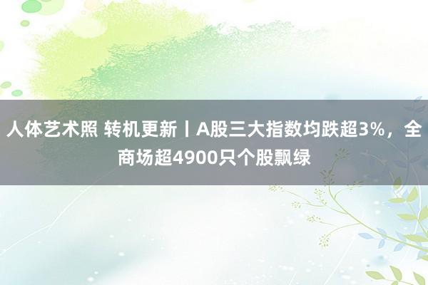 人体艺术照 转机更新丨A股三大指数均跌超3%，全商场超4900只个股飘绿