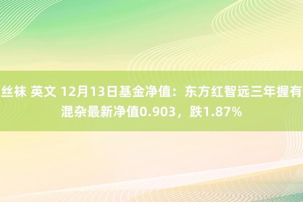 丝袜 英文 12月13日基金净值：东方红智远三年握有混杂最新净值0.903，跌1.87%