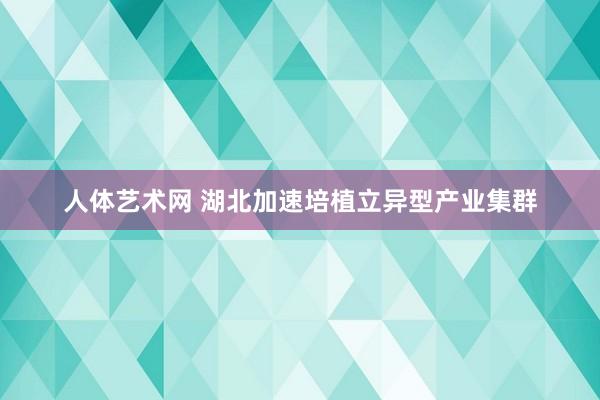 人体艺术网 湖北加速培植立异型产业集群