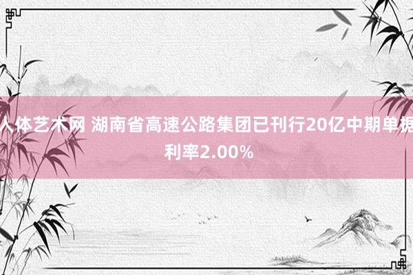 人体艺术网 湖南省高速公路集团已刊行20亿中期单据 利率2.00%