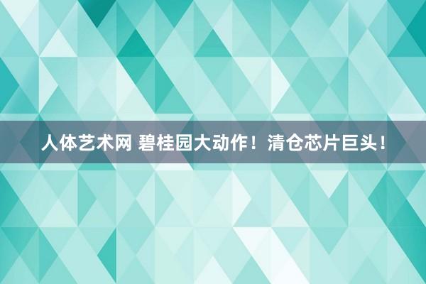 人体艺术网 碧桂园大动作！清仓芯片巨头！