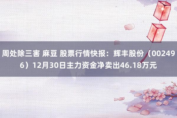 周处除三害 麻豆 股票行情快报：辉丰股份（002496）12月30日主力资金净卖出46.18万元