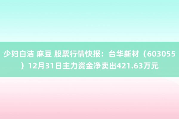 少妇白洁 麻豆 股票行情快报：台华新材（603055）12月31日主力资金净卖出421.63万元