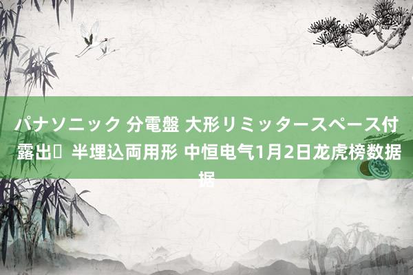 パナソニック 分電盤 大形リミッタースペース付 露出・半埋込両用形 中恒电气1月2日龙虎榜数据