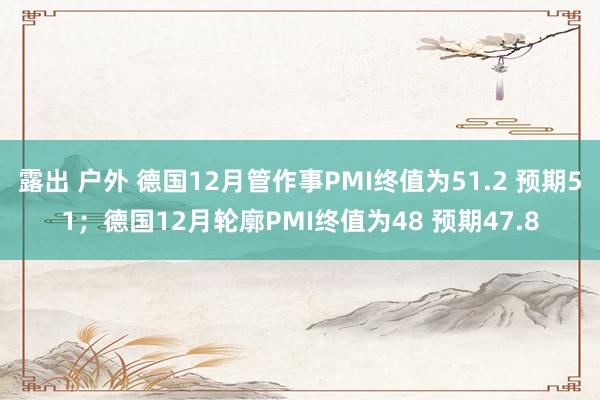 露出 户外 德国12月管作事PMI终值为51.2 预期51；德国12月轮廓PMI终值为48 预期47.8